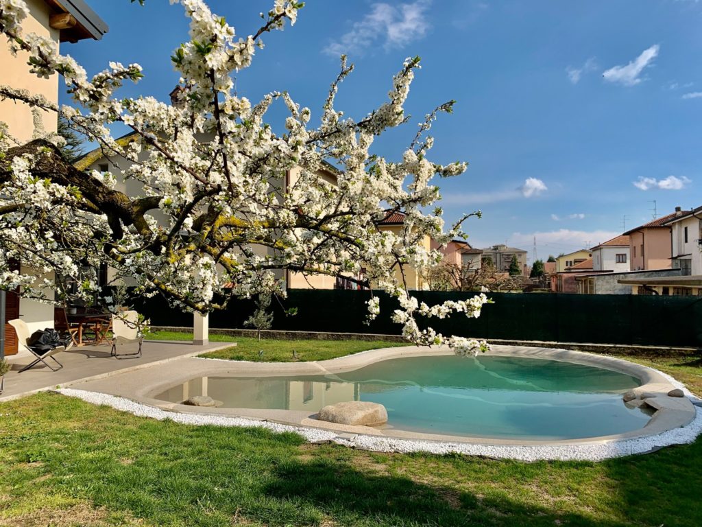 migliori piscine interrate da giardino